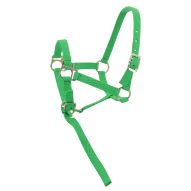Cabresto de nylon para potro Verde claro Cabresto de nylon para potro Verde claro