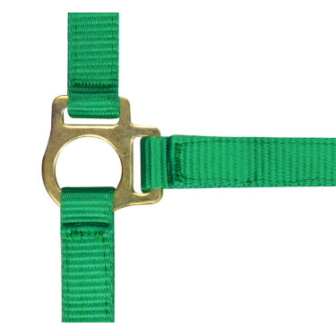 Cabresto de nylon para potro Verde claro Cabresto de nylon para potro Verde claro