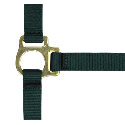 Cabresto de nylon para potro Verde escuro