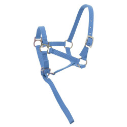 Cabresto de nylon para potro Céu Azul