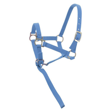 Cabresto de nylon para potro Céu Azul