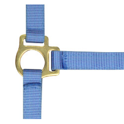 Cabresto de nylon para potro Céu Azul