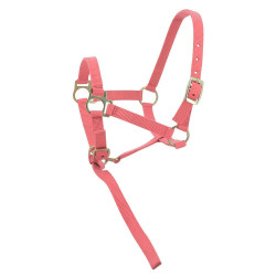 Cabresto de nylon para potro Rosa