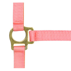 Cabresto de nylon para potro Rosa