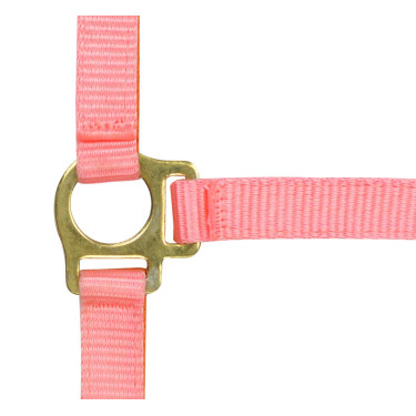 Cabresto de nylon para potro Rosa