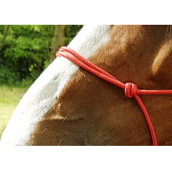 Caveção etológico corda Fina Vermelho Caveção etológico corda Fina Vermelho