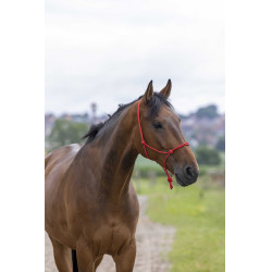 Caveção etológico corda Fina Vermelho Caveção etológico corda Fina Vermelho