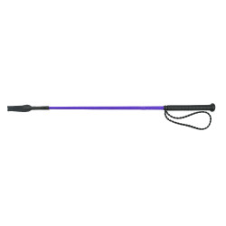 Cravache Whip & Go Twist com cabo Violeta