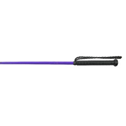 Cravache Whip & Go Twist com cabo Violeta