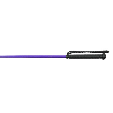 Cravache Whip & Go Twist com cabo Violeta