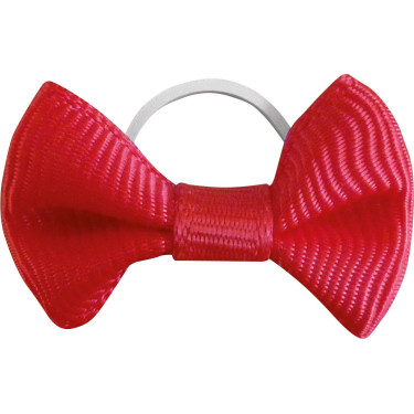 Laços para trança Equithème em tecido, conjunto com 20 unidades Vermelho