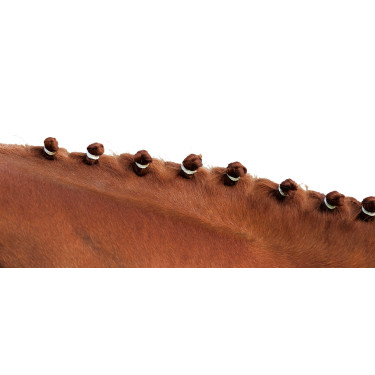 Elásticos para crina Branco