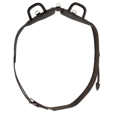 Surcingle de volteio Norton Club com alças fechadas Surcingle de volteio Norton Club com alças fechadas