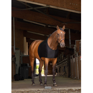 Protetor de ombros Equithème Protetor de ombros Equithème