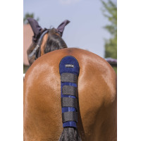 Protège-queue Norton High Protection