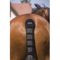 Protetor de cauda Norton Alta Proteção Chocolate Castanho