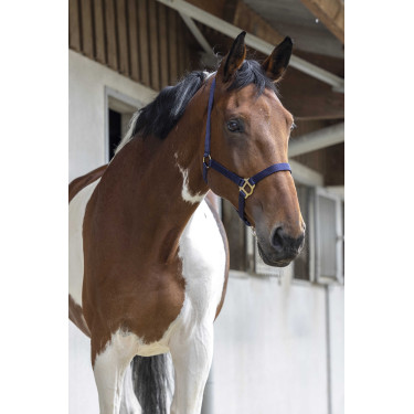 Cabeção First Azul-marinho Cabeção First Azul-marinho