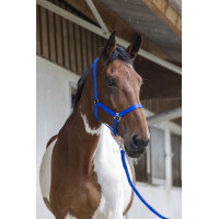 Conjunto de cabeçada e rédea Club Fúcsia Rosa