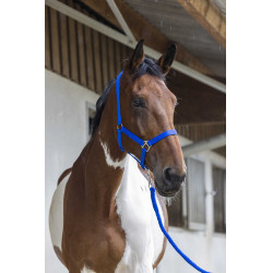 Conjunto de cabeçada e rédea Club Azul royal