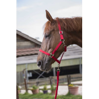 Conjunto de cabeçada e rédea Club Vermelho Conjunto de cabeçada e rédea Club Vermelho