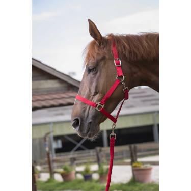 Conjunto de cabeçada e rédea Club Vermelho