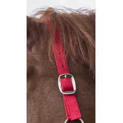 Conjunto de cabeçada e rédea Club Vermelho