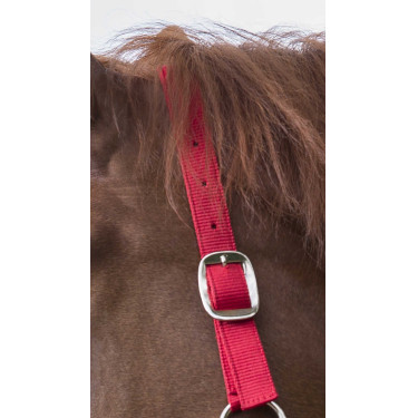 Conjunto de cabeçada e rédea Club Vermelho