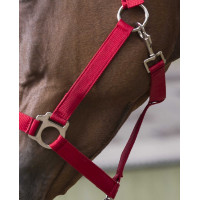 Conjunto de cabeçada e rédea Club Vermelho Conjunto de cabeçada e rédea Club Vermelho