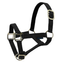 Cabeçada de nylon forrada a couro Norton Azul / preto