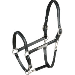 Cabresto de couro grooming Eric Thomas Pro Preto