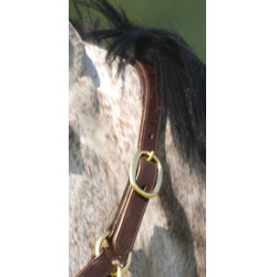 Cabresto Excelsior com ajuste duplo Havana Castanho