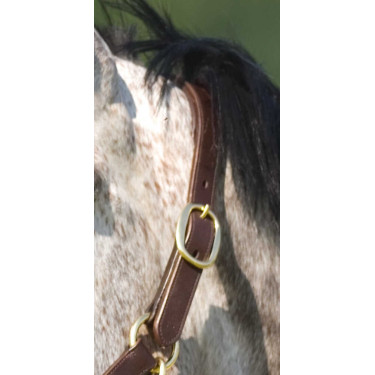 Cabresto Excelsior com ajuste duplo Havana Castanho