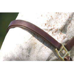 Cabresto Excelsior com ajuste duplo Havana Castanho