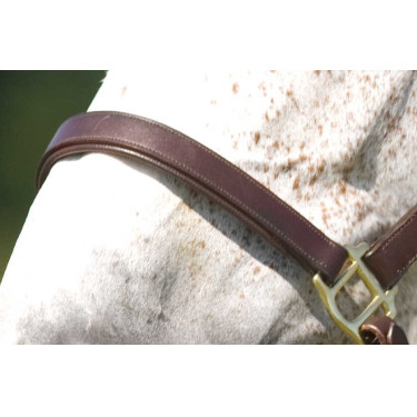 Cabresto Excelsior com ajuste duplo Havana Castanho