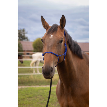Cabresto etológico suave Azul royal