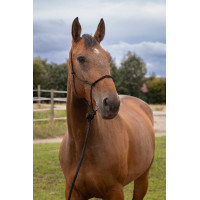 Cabresto etológico suave Preto