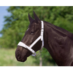 Caveção Norton Club couro cromado