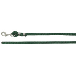 Longa de atrelagem Norton Bright Verde