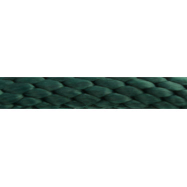 Longa de atrelagem Norton Bright Verde
