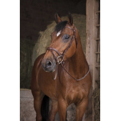 Rédias de borracha Norton Pro Havana Castanho