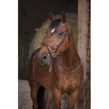 Rédias de borracha Norton Pro Havana Castanho