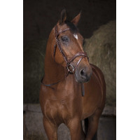 Rédeas cingidas Norton Pro Preto / branco