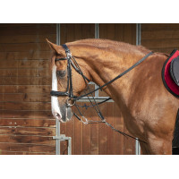 Polia de tração Norton Pro Preto