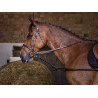 Enrêno de borracha Riding World Havana Castanho