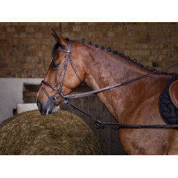 Enrêno de borracha Riding World Havana Castanho