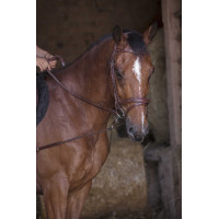 Enrêno elástico curto / polias Norton Pro Havana Castanho