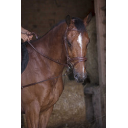 Enrêno elástico curto / polias Norton Pro Havana Castanho