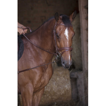 Enrêno elástico curto / polias Norton Pro Havana Castanho