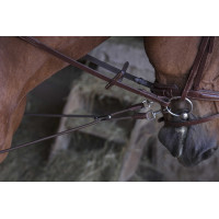 Enrêno elástico curto / polias Norton Pro Havana Castanho