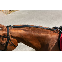 Enrêno Norton Pulley Preto